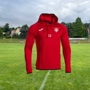SVS - Pullover